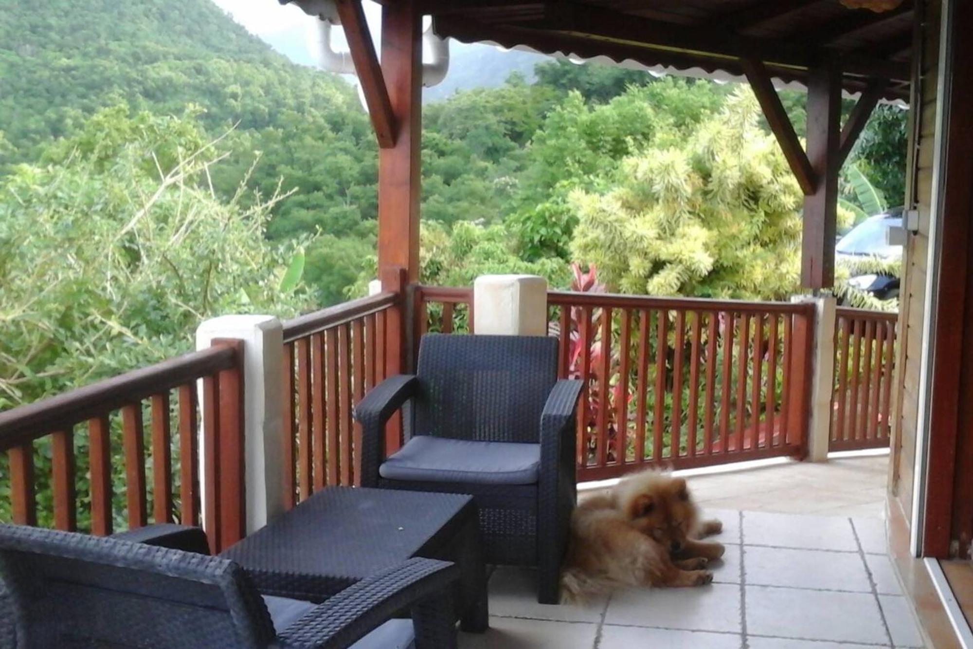 Villa Avec Vue Sur Mer A Vieux Habitants Piscine Bagian luar foto